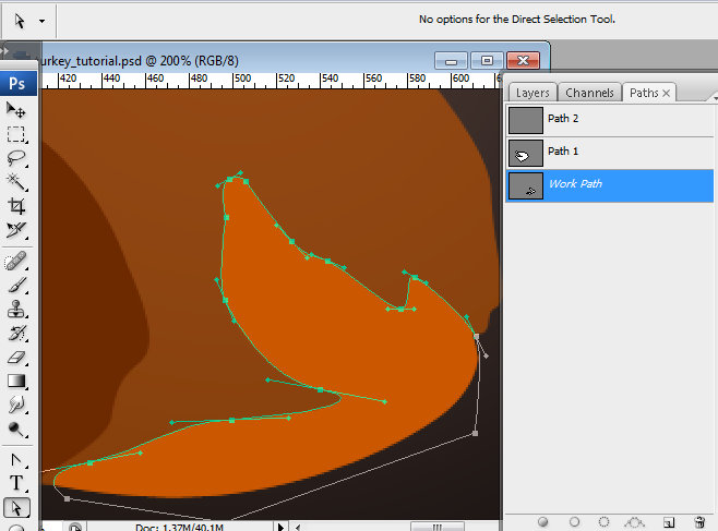 Beautiful digital Roasted Thanksgiving turkey illustration in Photoshop